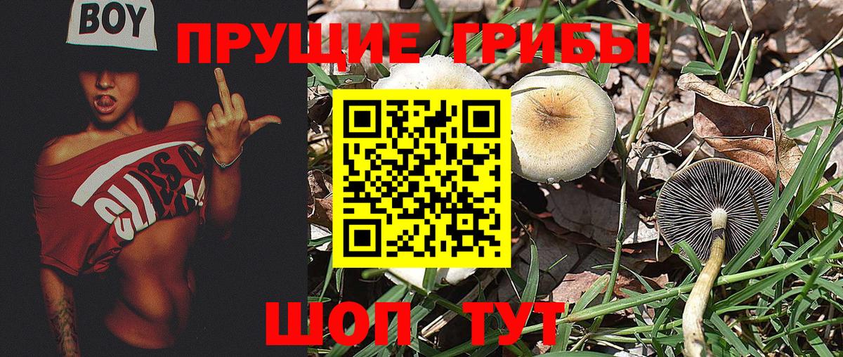 Псилоцибиновые грибы Magic Shrooms  Вход с VPN  Новокузнецк 